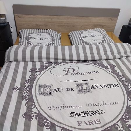 Grand Appartement Chaleureux Mirebeau-sur-Beze Esterno foto