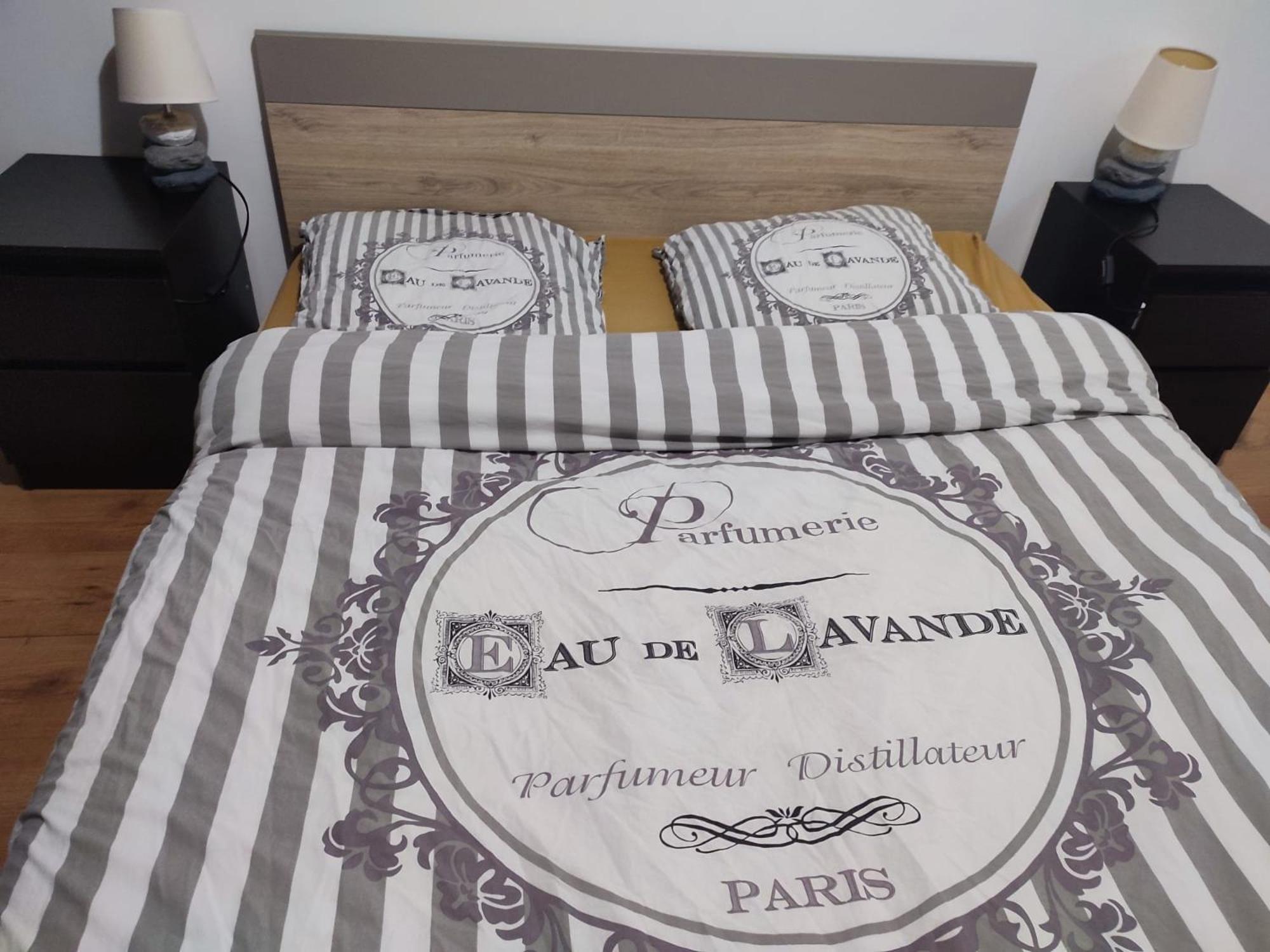 Grand Appartement Chaleureux Mirebeau-sur-Beze Esterno foto